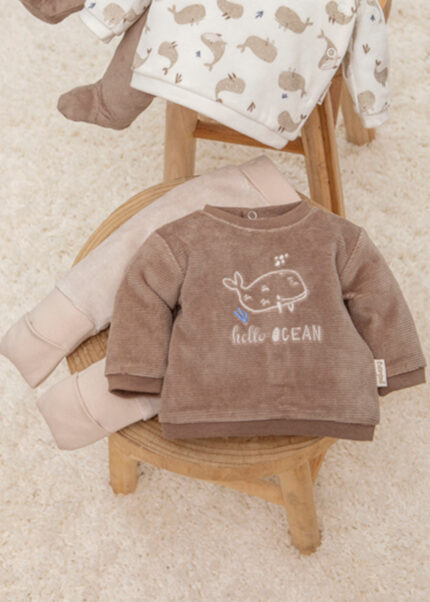 Conjunto 2 Peças Baleia Camel Babybol