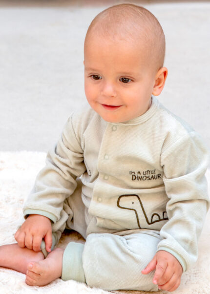 Babygrow sem Pé Dinossauro Verde Babybol